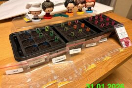 My pepper progress as n00b in 6a