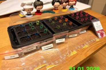 My pepper progress as n00b in 6a