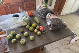 Help with using up some ingredients