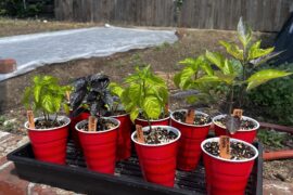 Starting their outdoor journey!