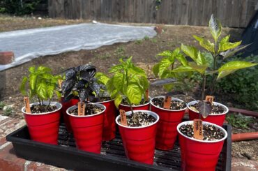 Starting their outdoor journey!