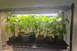 Ran out of vertical space