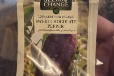 Worst Seeds Ever