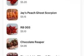 Help me pick which ones I should grow this year :)