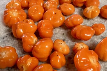 Pumpkin Habaneros?