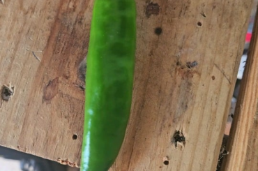 What is this?
