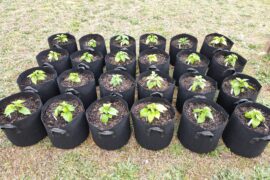 They finally got evicted