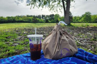 What a beautiful day for a picnic