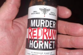 Murder Hornet, Seattle