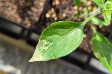 Is there a way to prevent this?