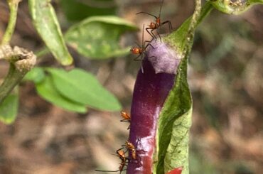 A Congregation of Assholes