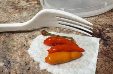I’d like to know what sort of hot peppers these are?