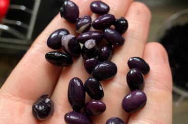 Love the purple sheen on soaked black beans
