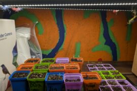 How are things looking?