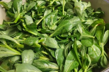 Purslane and beef soup for breakfast!!! Let me tell you, this caldo is very delicious!