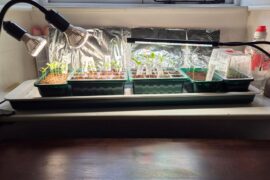 Will these homemade tin foil reflectors make any difference to the performance of my budget lights?