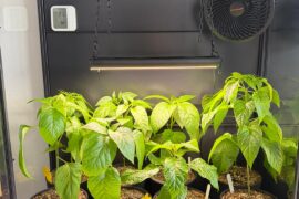 3 months of progress