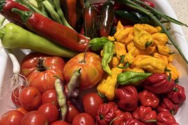 A nice little collect