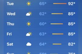 Perfect pepper weather