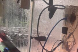 First year for the Seed microwave