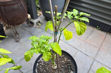 What the hell am I doing wrong