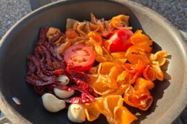 3 salsas I made recently