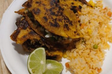 Made Birria tacos