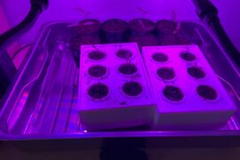 How is that progress in a week?