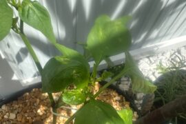 Should I be concerned