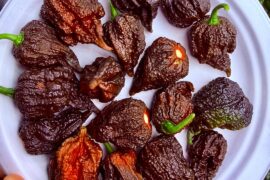 Love is a burning thing