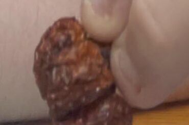 carolina reaper pepper from wicked reaper