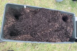 Any ideas what monster desecrated my Earthbox?