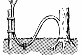 Pepper layering? Good or bad