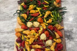 Help.. Black kow in pots?