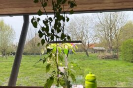 Is my Basket of Fire a Basket of Fire?