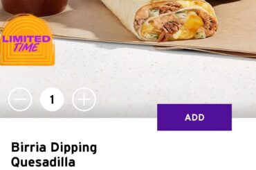 Birria dipping quesadilla
