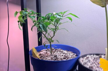 What am I doing wrong?