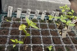 Just moved, making due with what I have recommendations welcomed