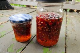 Apple Chili Jam (jelly? Marmalade?)