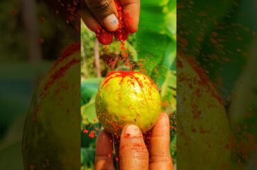 fresh guava chilli masala 😋🤤‼️#trending #shorts #viral #food #recipe #reels #video #short #fruit