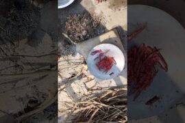 #food  chili filix kase banye how to make chilifilix 🥵 #cooking #recipe #chilis #chili #chiliseason
