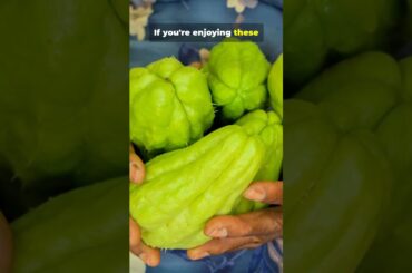 HowToEd: The World Famous Hatch Green Chili Explained!