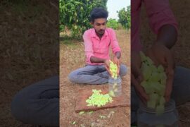 mango Chilli salt recipe #Shorts