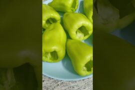 #Stuffed Pepper Soup
