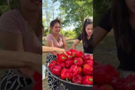 Cooking yummy red chili recipe