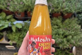 Matouk's Calypso