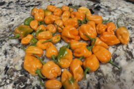 Habanero Happiness