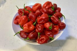 Habanero Haul