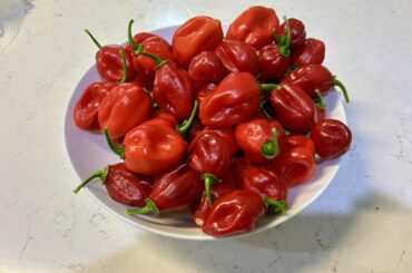 Habanero Haul