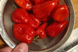 What are these peppers?